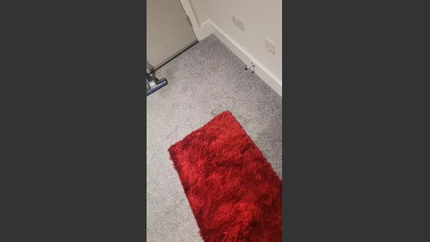Sealofapproval 12-10-2025 Recorded Video beautiful
