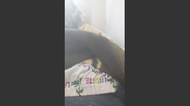 Will339silva 13-10-2025 Recorded Video nude