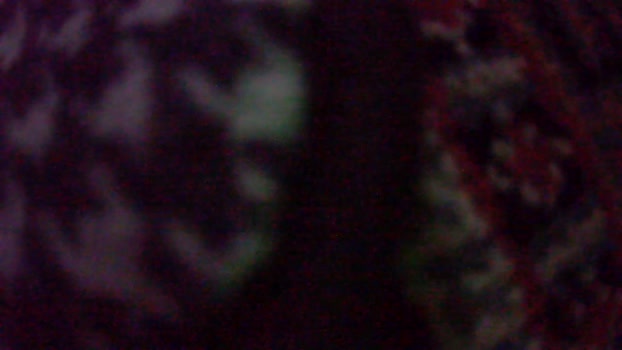 amylrmm 12-10-2025 Recorded Video analtoy