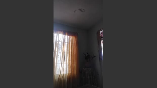 cometa2673 12-10-2025 Recorded Video kissing