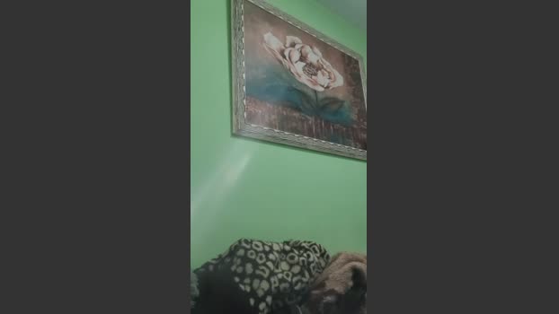 Bhsd 14-10-2025 Recorded Video bj-dildo
