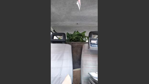 Cerbero31 14-10-2025 Recorded Video hard