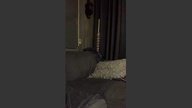 Moesbi 14-10-2025 Recorded Video fuckass