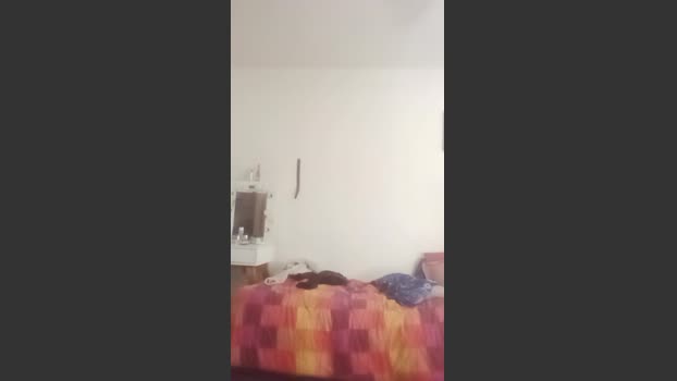 Wolfplayer21 14-10-2025 Recorded Video fingers