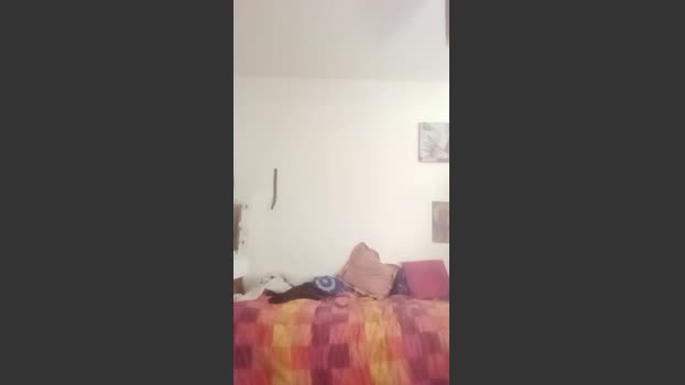 Wolfplayer21 14-10-2025 Recorded Video toys