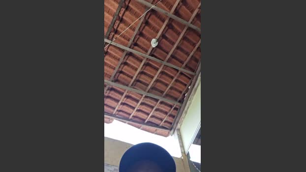 dilsinho18