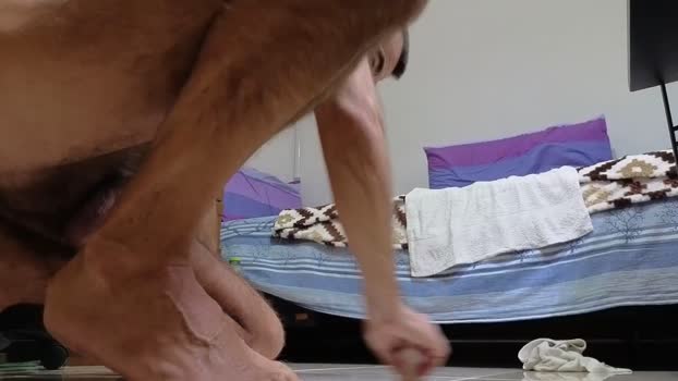 hairycerberus 14-10-2025 Recorded Video wank