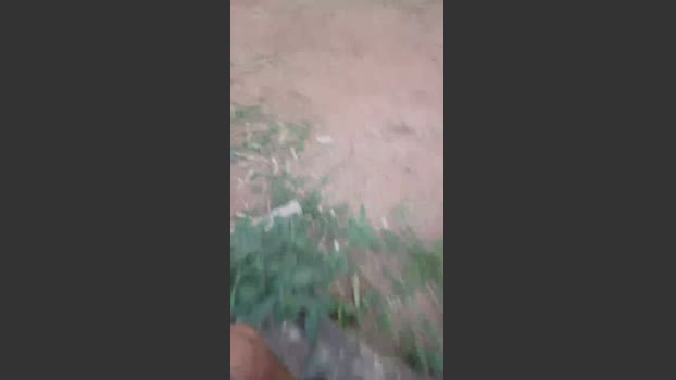 Daddy_capixaba 14-10-2025 Recorded Video toys