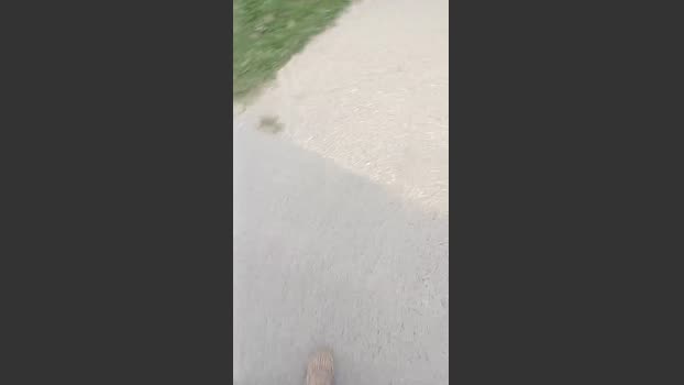 Miche2403 14-10-2025 Recorded Video Pretty