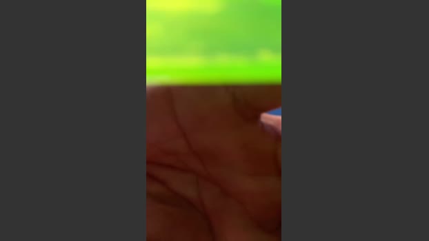 GATOXXLBR 15-10-2025 Recorded Video amateur