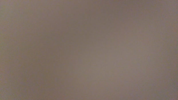 SoloAssPlayer 15-10-2025 Recorded Video kink
