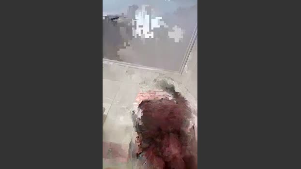 caristao 15-10-2025 Recorded Video twink