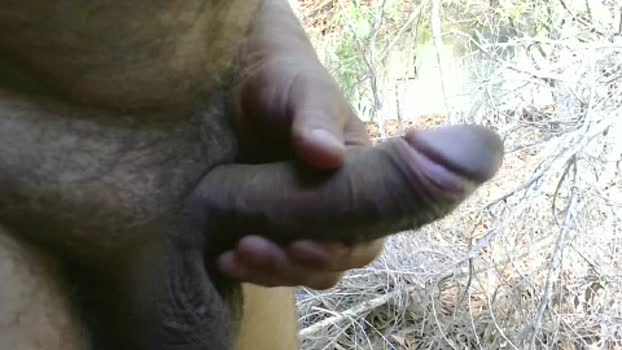 moreno5503 15-10-2025 Recorded Video Ass