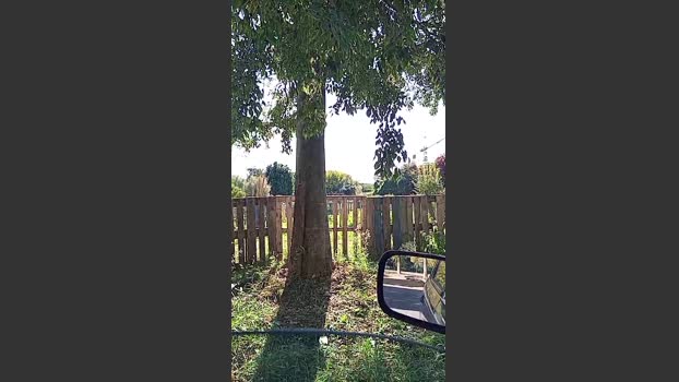Erosmasck 17-10-2025 Recorded Video Download