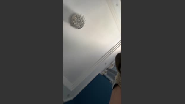 Victorconteudos 17-10-2025 Recorded Video big
