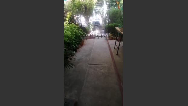 roncoratonm2 16-10-2025 Recorded Video bigcock