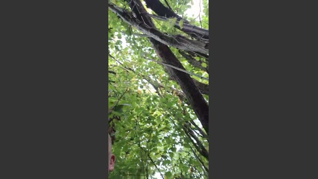 Socke72 18-10-2025 Recorded Video deep