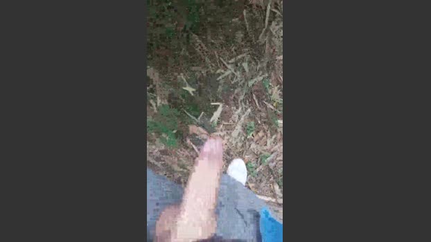 Thiagoveraxx 17-10-2025 Recorded Video bigtoys