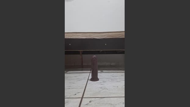 Lobao_Nervoso 19-10-2025 Recorded Video yummy