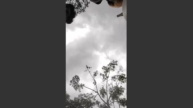 Remote_live 18-10-2025 Recorded Video harddick