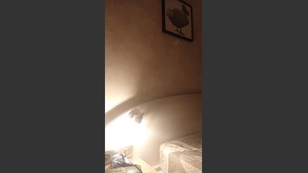 elle78lui 19-10-2025 Recorded Video nude