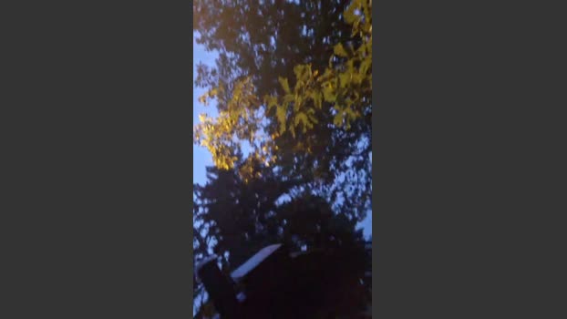 Hotguyflo2 20-10-2025 Recorded Video playtime