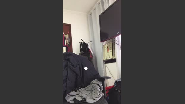 AbrahaoLutador 22-10-2025 Recorded Video strip