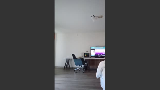 Littleguy25 22-10-2025 Recorded Video play