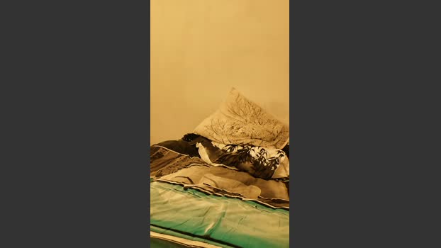 lebrun51 22-10-2025 Recorded Video handsome