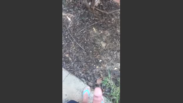 picaduura 23-10-2025 Recorded Video orgasm