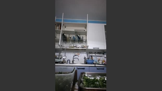 Cerbero31 23-10-2025 Recorded Video Cam