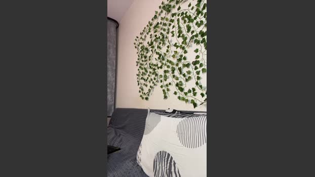 bravo_maestro 24-10-2025 Recorded Video oral