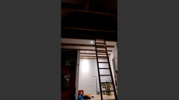 misterman244 24-10-2025 Recorded Video sweet