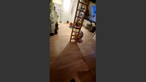 misterman244 24-10-2025 Recorded Video bigballs