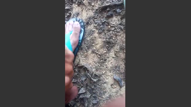 picaduura 23-10-2025 Recorded Video strip