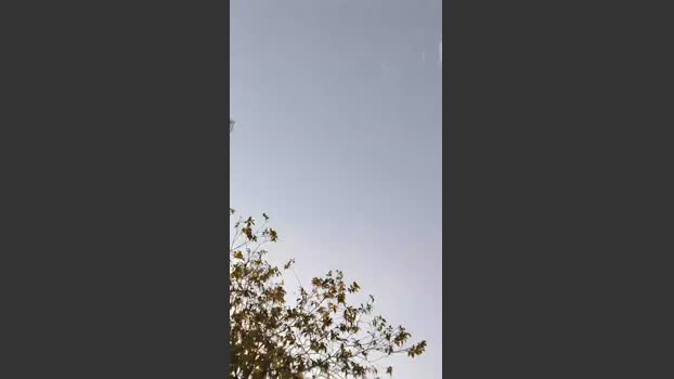 AtivoDourados 24-10-2025 Recorded Video twink
