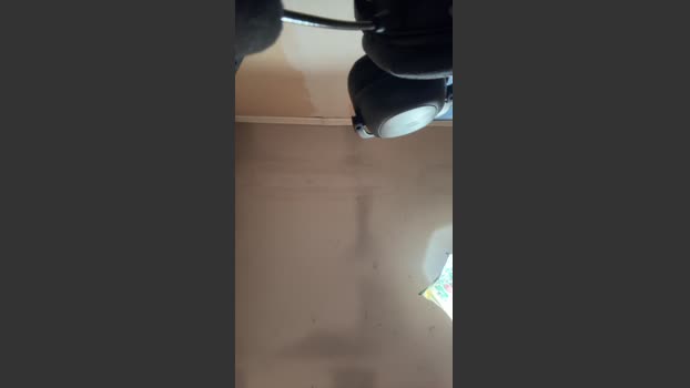 Curiosoexp 24-10-2025 Recorded Video bigass