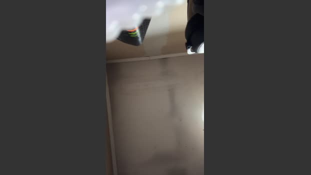 Curiosoexp 25-10-2025 Recorded Video gag
