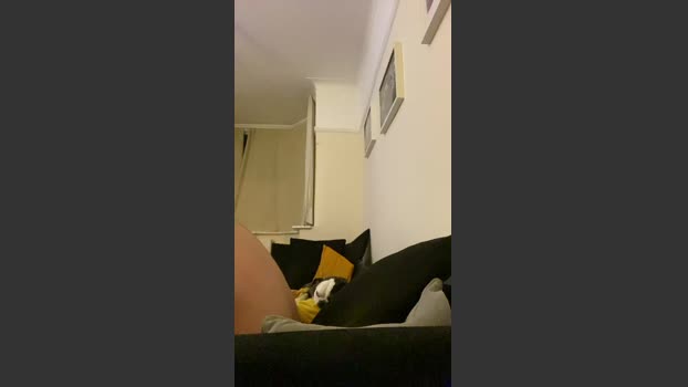 Nike2579 24-10-2025 Recorded Video harddick