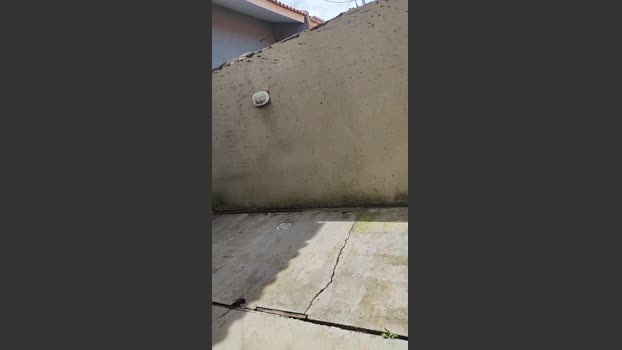 pirocars 24-10-2025 Recorded Video prettyface