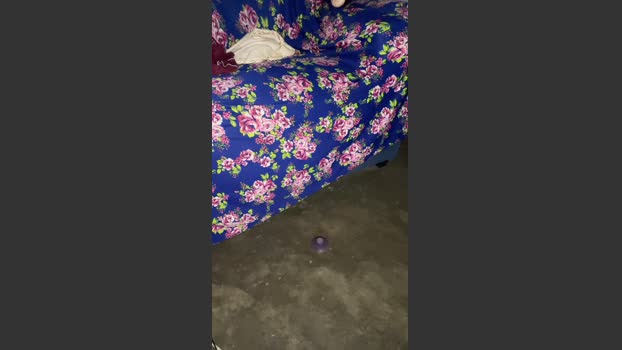 safadaocamm4 25-10-2025 Recorded Video Show