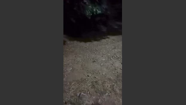FranJuni 25-10-2025 Recorded Video fuck