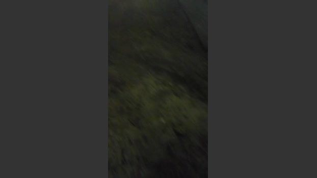 JotaB2025 26-10-2025 Recorded Video bigcock
