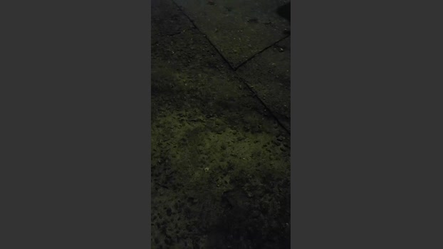 JotaB2025 26-10-2025 Recorded Video fuckass