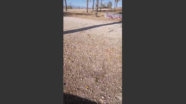 Pollademadrid 26-10-2025 Recorded Video gag