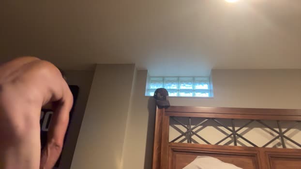 StudlyHardwood 25-10-2025 Recorded Video amateur