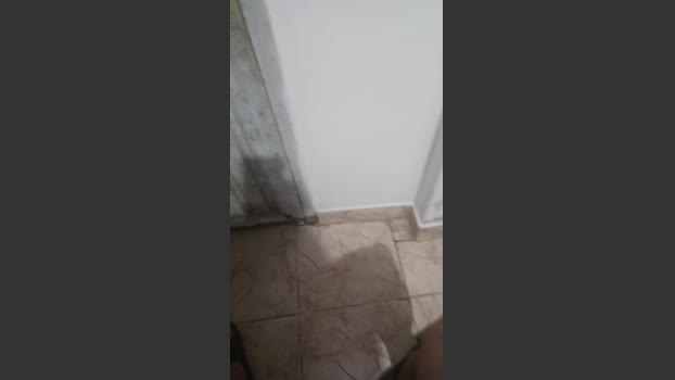 loboestepario14 26-10-2025 Recorded Video oral