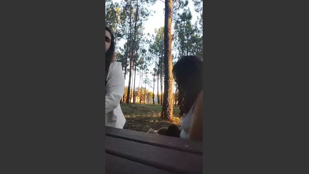 Bandidagostosaa