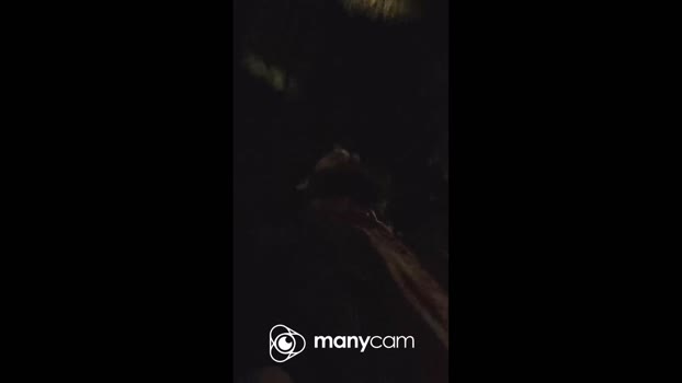 Beardedveteran 27-10-2025 Recorded Video bigtoys