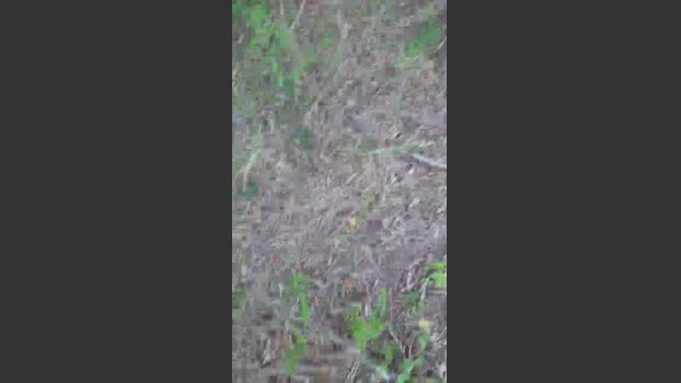 Daddy_capixaba 26-10-2025 Recorded Video kiss